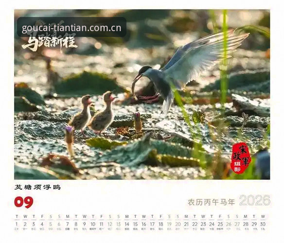 天天娱乐2026新版上线最新动态：界面升级与登录入口全面解析